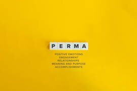 PERMA-F&uuml;hrung - Positives Leadership als Schl&uuml;ssel f&uuml;r nachhaltigen Unternehmenserfolg